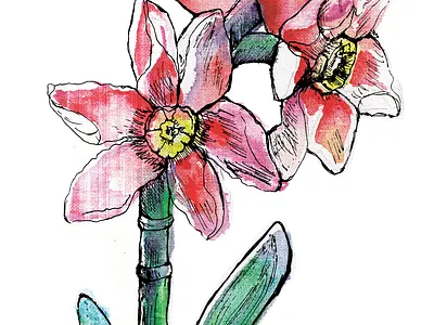 Botanical Illustration canvas hand drawn handmade illustration mixed media penandpaper traditional traditional illustrationa vintage watercolor watercoulour