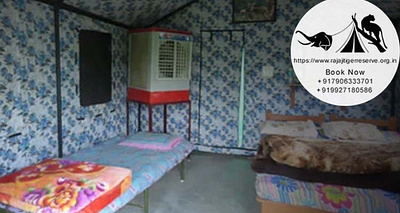 Rajaji National Park Resort Safari Packages Rishikesh Hariwar junglecampingrishikesh rajajinationalpark rajajinationalparkharidwar rajajinationalparkpackages rajajinationalparkresort rajajinationalparkrishikesh rajajinationalparksafari rajajitigerreserve