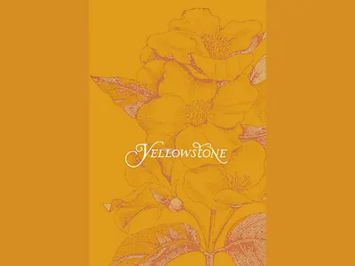 𝓨𝓮𝓵𝓵𝓸𝔀𝓼𝓽𝓸𝓷𝓮 floral graphic design illustration lettering national parks nationalparks photo editing print design rustic design travel typography wyoming yellowstone