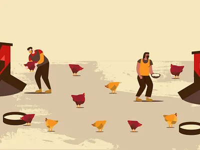 chicken farm design flat illustration vector