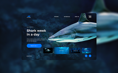 Animal Planet Redesign | Sharks animal design minimal planet shark sharks typography ui ux website