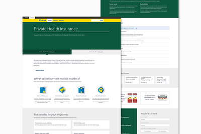 Private Health Insurance UI Design design health insurance ui web design