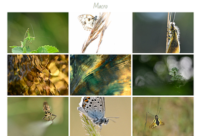 Website Photographer branding design minimal typo typography ui ux web webdesign website
