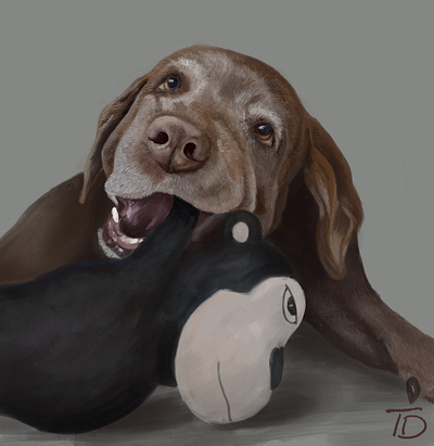 Chocolate Lab art artist design digital art digital painting dog dog illustration drawing illustration painting pets portrait procreate procreateapp puppy