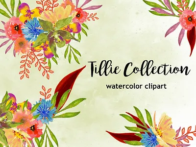 Tillie Collection design illustration instant download png printables watercolor watercolor florals watercolor flower watercolor flowers watercolor illustration wedding design