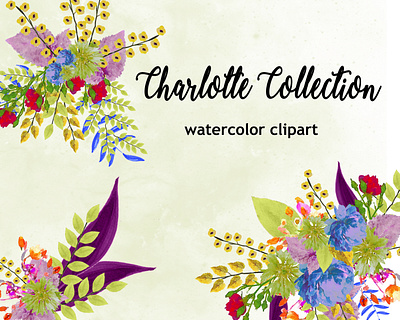 Charlotte Collection design illustration instant download png printables watercolor watercolor florals watercolor flower watercolor flowers watercolor illustration wedding design