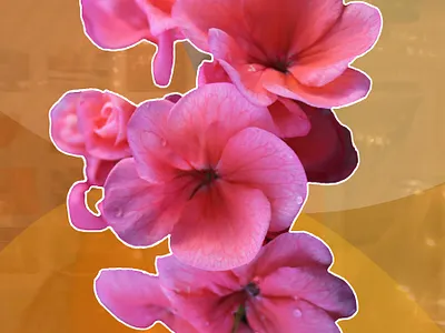 Lights the People flower orange vector vector art