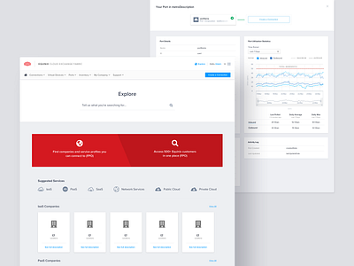 Equinix - Cloud Exchange app chart cloud cloud app dashboard data data center data visualization graph line graph portal product storage ui user interface visualization