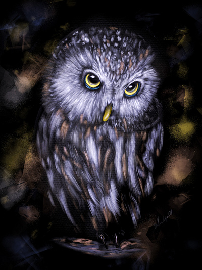 digital owl 2d abstract animal artwork design digital digital art effects fun nature art painting