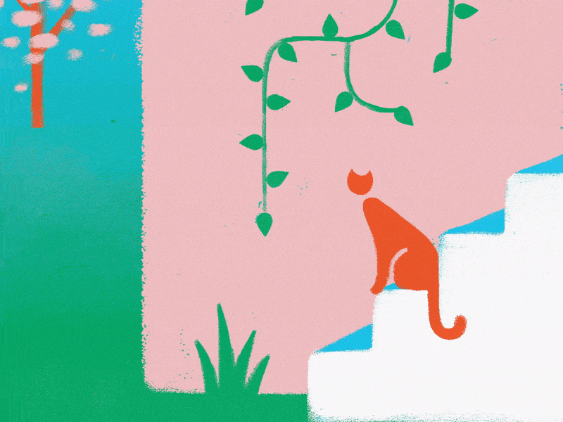 Peek a Boo animation cat cel animation cute design digital art draw frame by frame geometric girl illustration landscape loop motion motion graphics nature pink play red