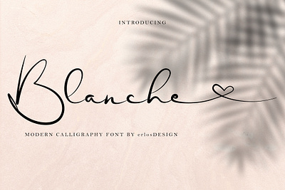 Blanche Font art branding design graphic design illustration logo minimal typography vector website