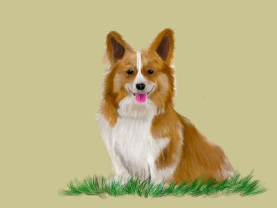 Dog applepencil beginner dog draw drawing drawn fluffy ipad pro art ipad procreate ipadpro kings dog kings dog painting pencil pencil drawing procreate simple sketch