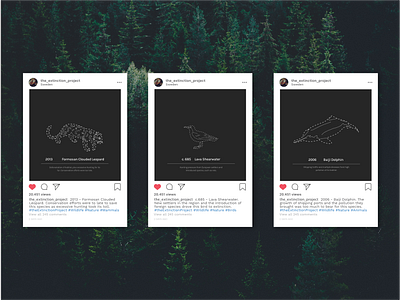 The Extinction Project - Instagram design flat illustration instagram minimal socialmedia vector wildlife