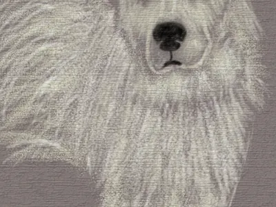 my goldi digital art dog dogs drawing paint paper