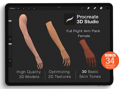 Procreate 3d Model -Right Arm Female
