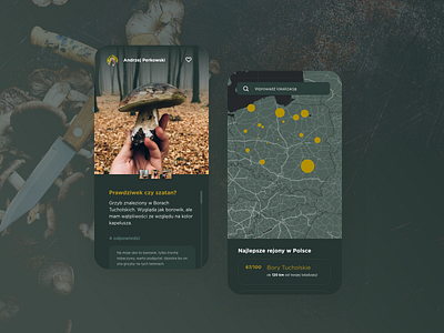 Forester - app concept app autumn boletus forest mushrooms social