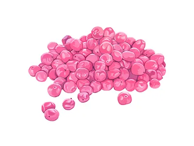 Schinus molle artwork botanical false gouache graphic handmade illustration painting pepper pink rose spice traditional art