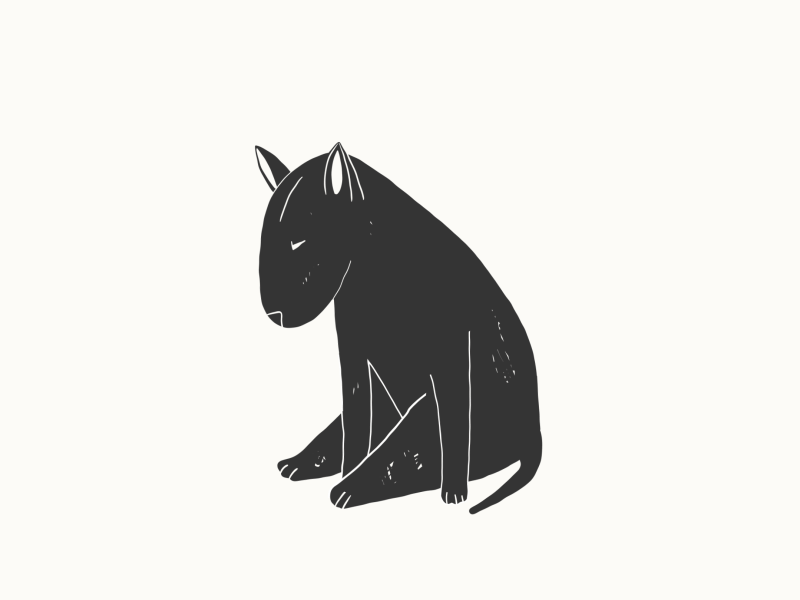 Lovely Pet 2danimation aftereffects animation character characteranimation characterdesign illustration motion motiondesign