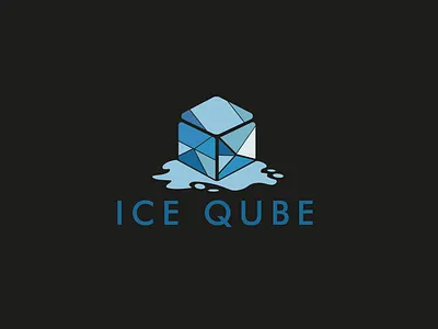 logo branding graphic design ice logo illustration logo vector