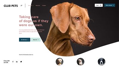 UI for a pets website adobe xd adobexd design illustration landing design landing page landing page design landingpage logo web design webdesign website website design