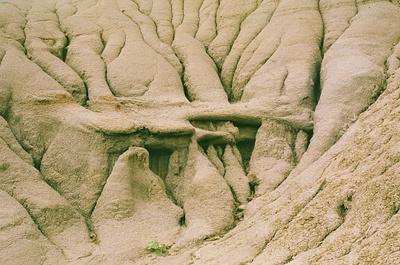 Little pantheon 35mm alberta analog canada canon ae 1 film film photography photography