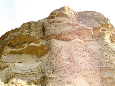 Bird Houses 35mm alberta analog canada canon ae 1 film film photography photography