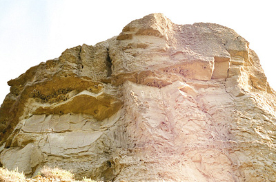 Bird Houses 35mm alberta analog canada canon ae 1 film film photography photography