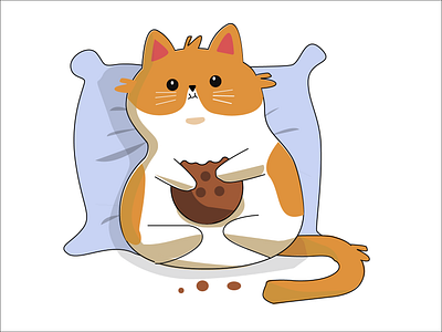 Кот животные кот котенок