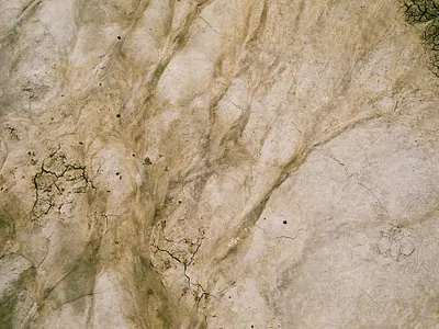 Texture 35mm alberta analog canada canon ae 1 film film photography photography