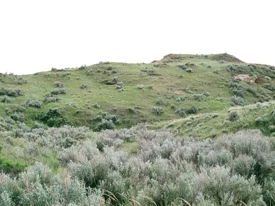 Sage to the Sky 35mm alberta analog canada canon ae 1 film film photography photography