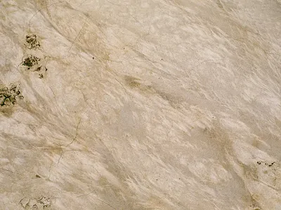 Texture 35mm alberta analog canada canon ae 1 film film photography photography