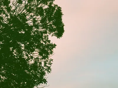 Cotton Candy Sky 35mm alberta analog canada canon ae 1 film film photography photography