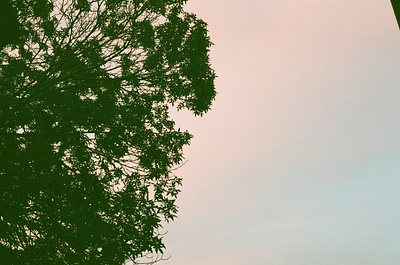 Cotton Candy Sky 35mm alberta analog canada canon ae 1 film film photography photography