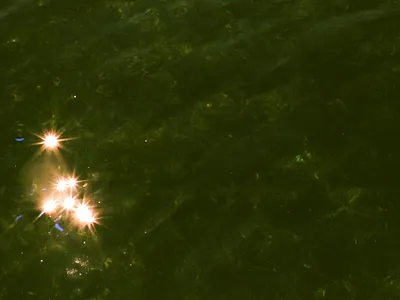 Shine 35mm analog british columbia canada canon ae 1 film film photography photography vancouver island