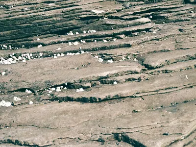 Texture 35mm analog british columbia canada canon ae 1 film film photography photography vancouver island