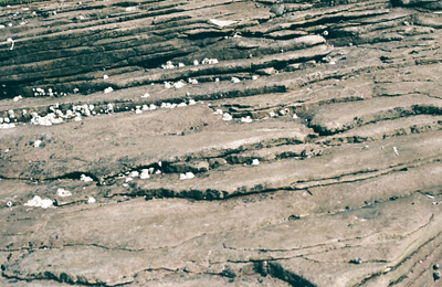 Texture 35mm analog british columbia canada canon ae 1 film film photography photography vancouver island