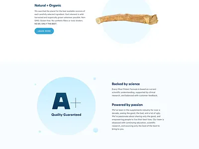 Most Potent design shopify ui ux web website