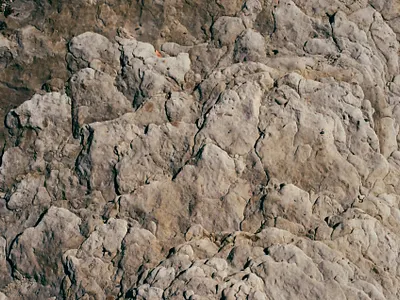 Textures 35mm analog british columbia canada canon ae 1 film film photography photography vancouver island