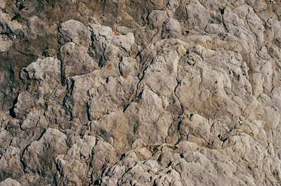 Textures 35mm analog british columbia canada canon ae 1 film film photography photography vancouver island