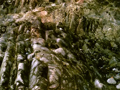 Texture 35mm analog british columbia canada canon ae 1 film film photography photography vancouver island