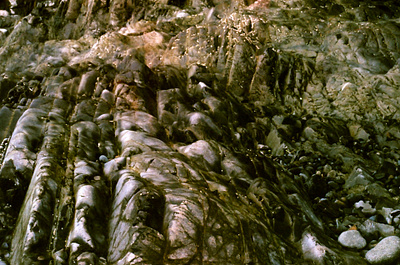 Texture 35mm analog british columbia canada canon ae 1 film film photography photography vancouver island