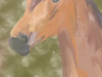 spirit horse art artist artwork design digital digital art digital illustration digital painting drawing illustration