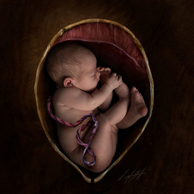 Does a Baby Stay in One Position in the Womb? vertex womb