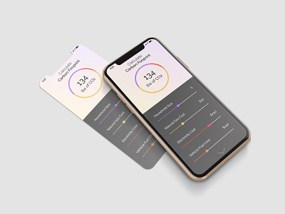 Calculator 004 branding calculator carbon footprint dailyui ui