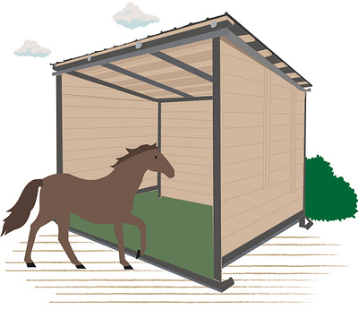 project design illustration illustrator vector