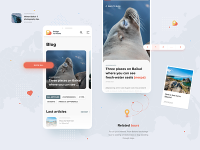 Bridge to Russia travel agency - blog agency design digital illustration minimal russia travel ui uidesign ux vector web