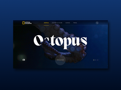 National Geographic Animals UI Concept (Main Screen Concept) animals clean concept dailyui design graphic design inspiration mainscreen typography ui uidesign uiux web web design