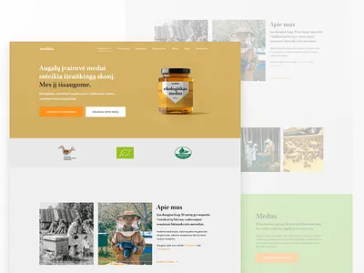 Medukis apiary website design clean minimal responsive web design user persona user research web design web ui web ux