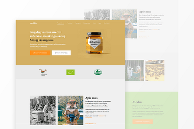 Medukis apiary website design clean minimal responsive web design user persona user research web design web ui web ux