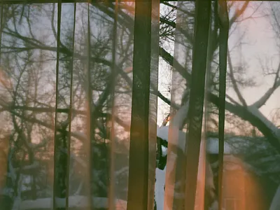 Gauzy 35mm alberta analog canada canon ae 1 film film photography photography